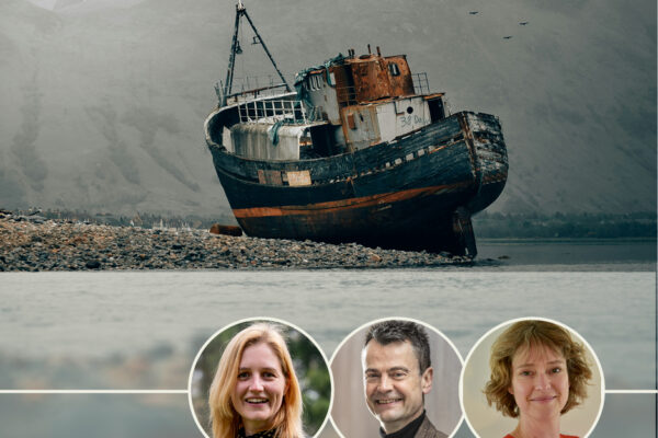 Opinie Anne Lafarre, Christoph Van der Elst en Rieneke Slager